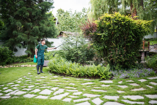 Best Affordable Pest Control Services  in Seward, NE
