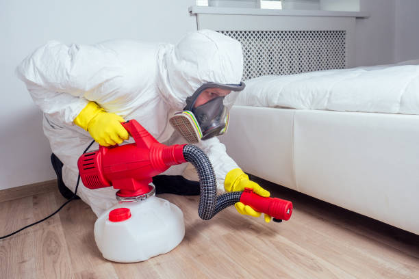 Best Local Pest Control Services  in Seward, NE