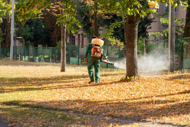 Trusted Seward, NE Pest Control Experts