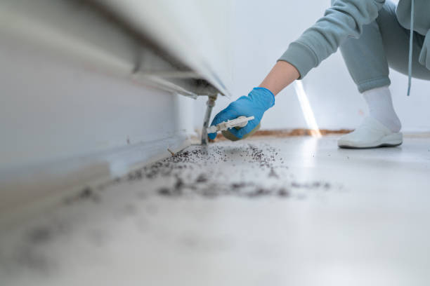 Best Best Pest Control Companies  in Seward, NE