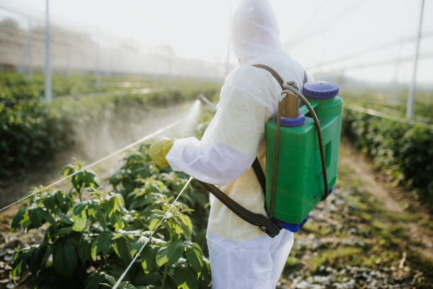  Seward, NE Pest Control Pros